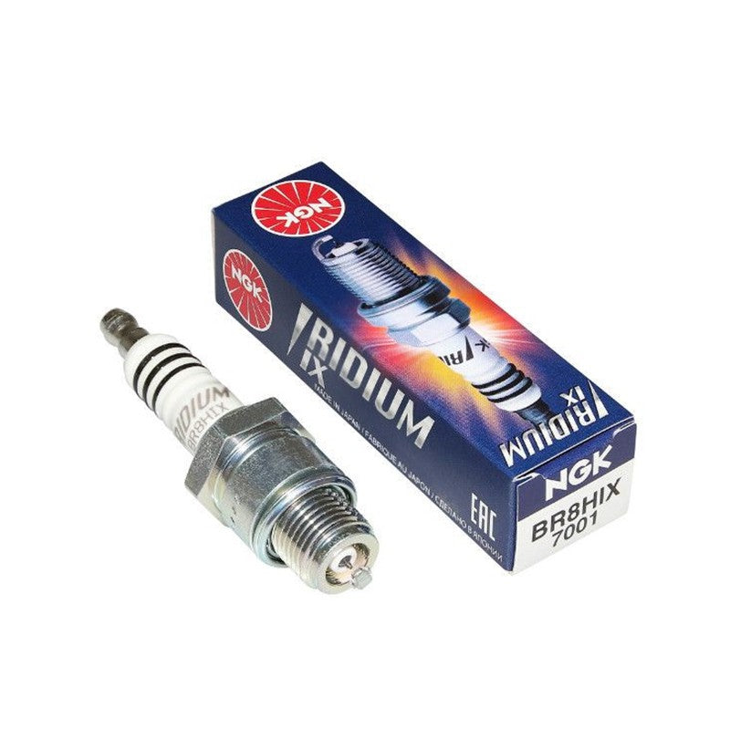 ちゃっきー NGK SPARK PLUGS – Bikewise