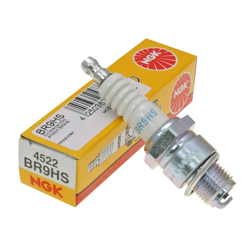 NGK SP BR9HS
