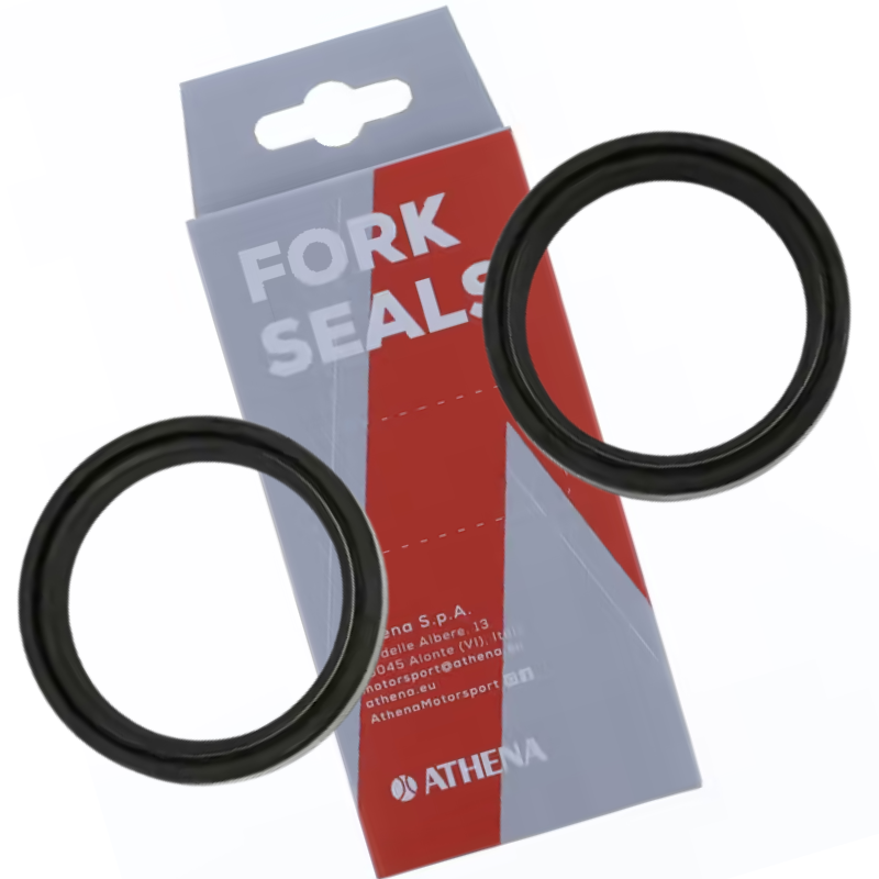 FORK OIL SEAL 2PC 42X54X11